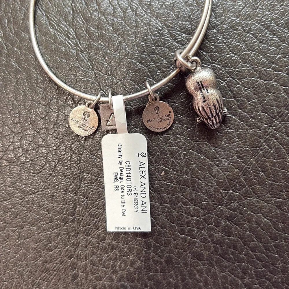 Alex and ani washed silver owl charm bracelet